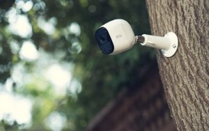 arlo-device-installed-on-tree