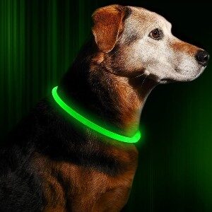 BSEEN pet collar