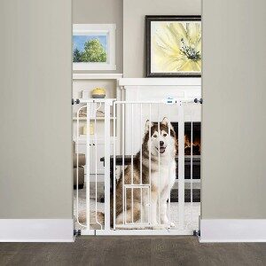 carlson extra tall pet gate