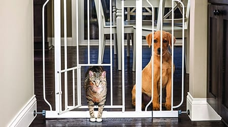 pet friendly baby gate