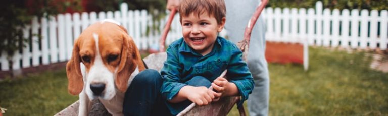 little boy and dog in wheelbarrow in backyard