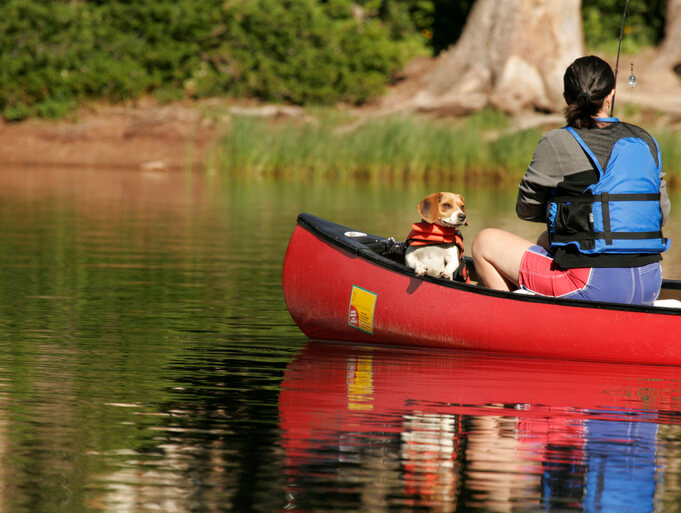 dog canoe life jacket