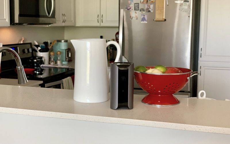 canary view on kitchen counter