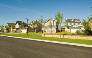 Neighborhood Street