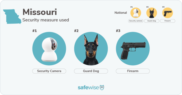 Security measures used most in Missouri: security cameras, guard dogs, firearms.