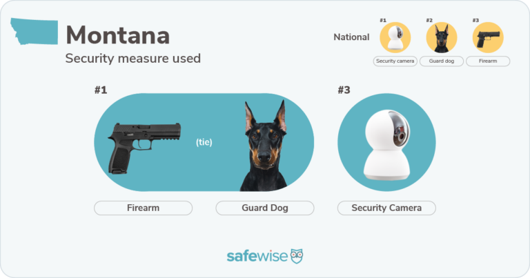 Security measures used most in Montana: firearms, guard dogs, security cameras.
