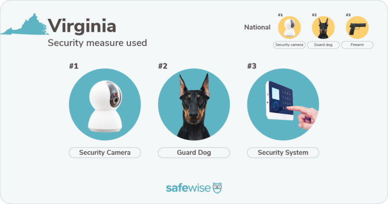 Security measures used most in Virginia: security cameras, guard dogs, security systems.